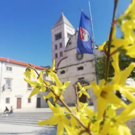 דירה Pegla זאדאר